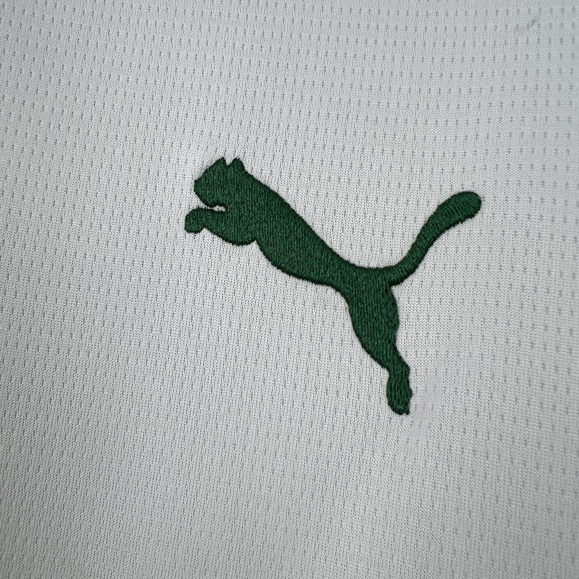Camiseta Palmeiras visitante 2026-27